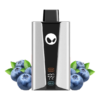 Silver and black vape mod with a digital display, flanked by blueberries.