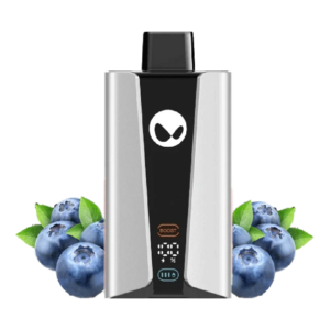 Silver and black vape mod with a digital display, flanked by blueberries.