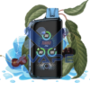 WakaBlast45KPuffs-Darkcherry_IceMix-5.png - Iget Vapes Oz
