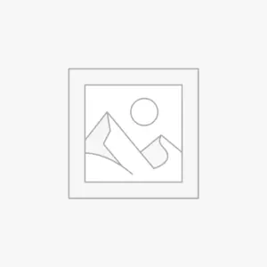 Uncategorized